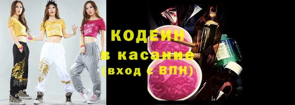прущие грибы Вяземский