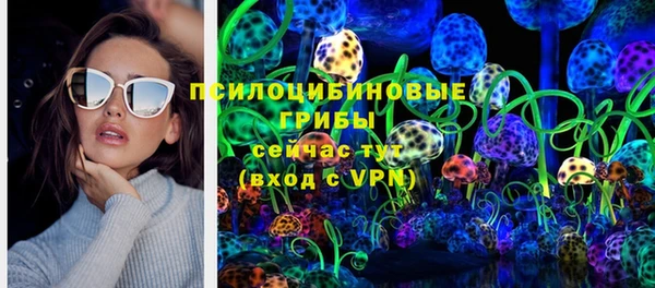 прущие грибы Вяземский