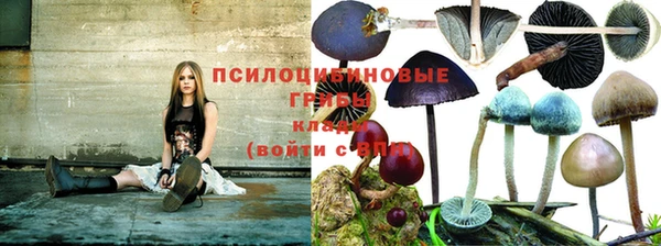 альфа пвп Верхний Тагил