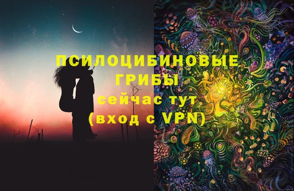 прущие грибы Вяземский